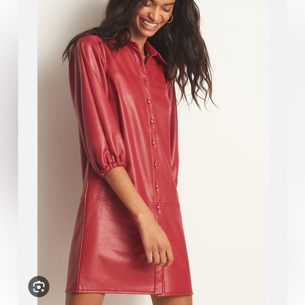 Leather Anthropologie dress